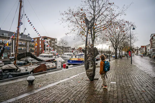 Taxi Den Haag naar Vlaardingen

